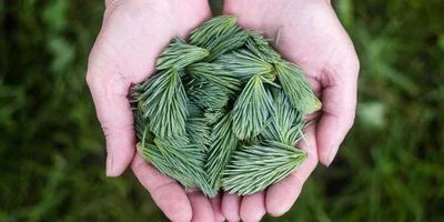 技能搭配